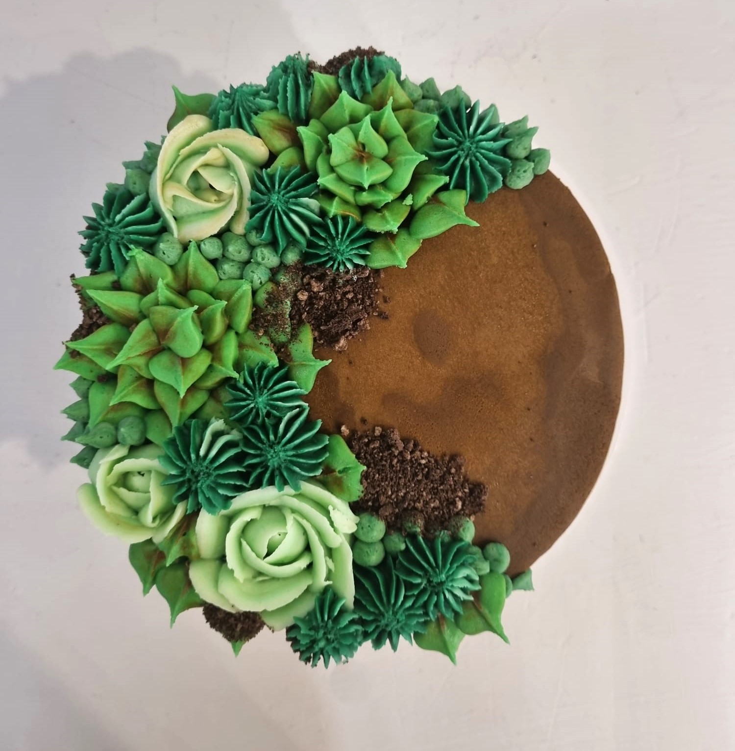 Succulent Cakes – Stazalicious Bakery